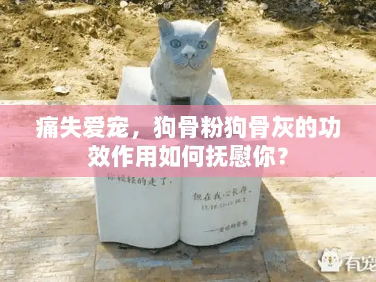 痛失爱宠，狗骨粉狗骨灰的功效作用如何抚慰你？