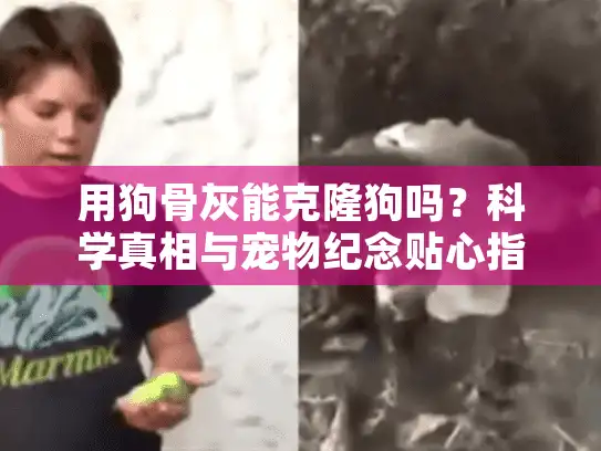 用狗骨灰能克隆狗吗？科学真相与宠物纪念贴心指南