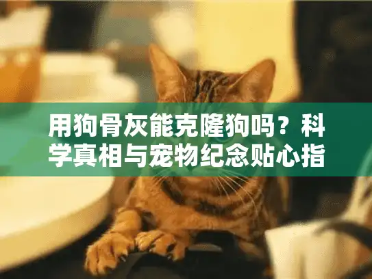 用狗骨灰能克隆狗吗？科学真相与宠物纪念贴心指南