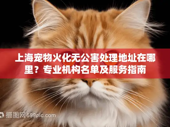 上海宠物火化无公害处理地址在哪里？专业机构名单及服务指南