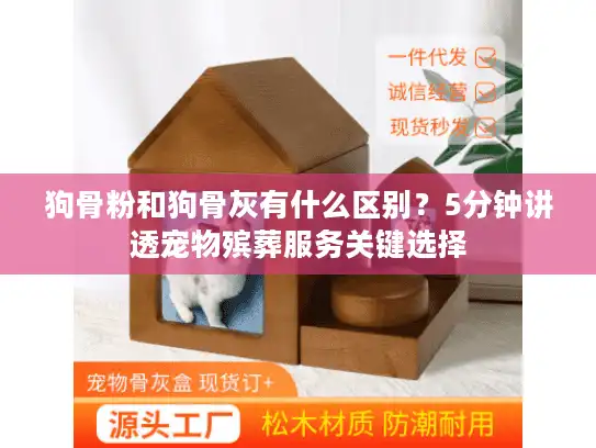 狗骨粉和狗骨灰有什么区别？5分钟讲透宠物殡葬服务关键选择