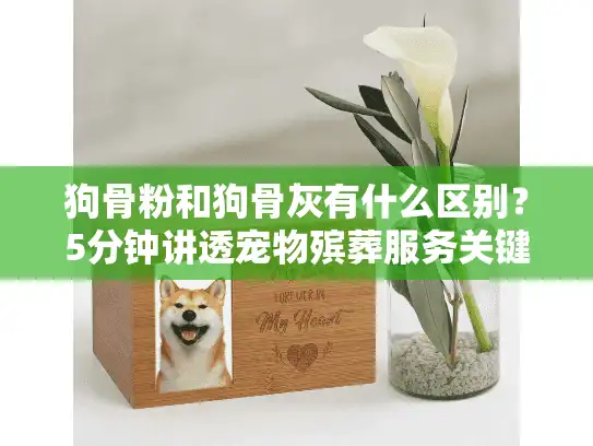 狗骨粉和狗骨灰有什么区别？5分钟讲透宠物殡葬服务关键选择