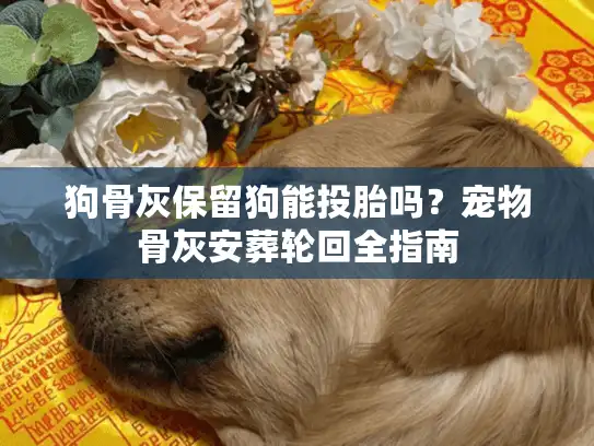 狗骨灰保留狗能投胎吗？宠物骨灰安葬轮回全指南