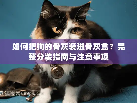 如何把狗的骨灰装进骨灰盒？完整分装指南与注意事项