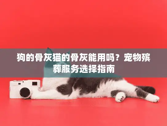 狗的骨灰猫的骨灰能用吗？宠物殡葬服务选择指南