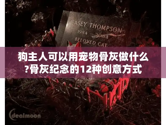 狗主人可以用宠物骨灰做什么?骨灰纪念的12种创意方式