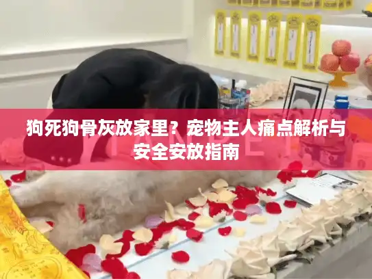 狗死狗骨灰放家里？宠物主人痛点解析与安全安放指南