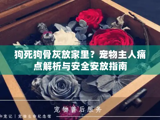 狗死狗骨灰放家里？宠物主人痛点解析与安全安放指南