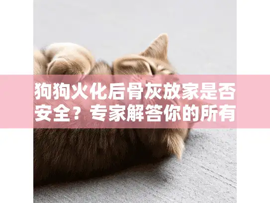 狗狗火化后骨灰放家是否安全？专家解答你的所有疑虑