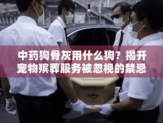 中药狗骨灰用什么狗？揭开宠物殡葬服务被忽视的禁忌
