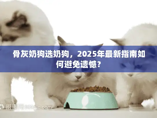 骨灰奶狗选奶狗，2025年最新指南如何避免遗憾？