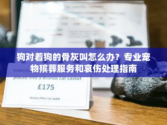 狗对着狗的骨灰叫怎么办？专业宠物殡葬服务和哀伤处理指南