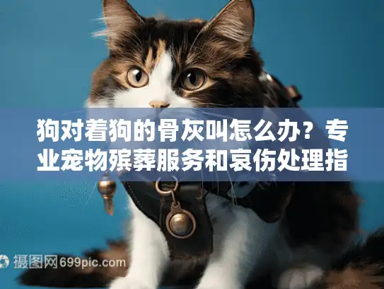 狗对着狗的骨灰叫怎么办？专业宠物殡葬服务和哀伤处理指南