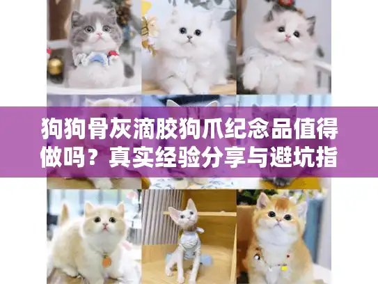 狗狗骨灰滴胶狗爪纪念品值得做吗？真实经验分享与避坑指南