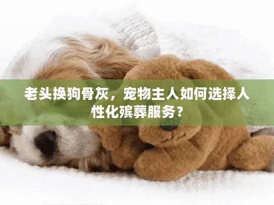 老头换狗骨灰，宠物主人如何选择人性化殡葬服务？