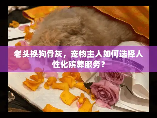 老头换狗骨灰，宠物主人如何选择人性化殡葬服务？