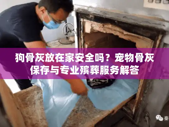 狗骨灰放在家安全吗？宠物骨灰保存与专业殡葬服务解答