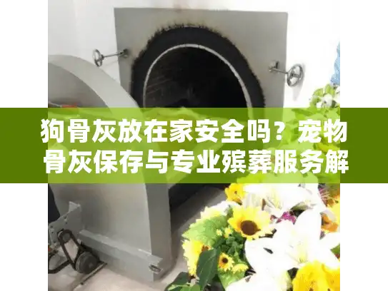 狗骨灰放在家安全吗？宠物骨灰保存与专业殡葬服务解答