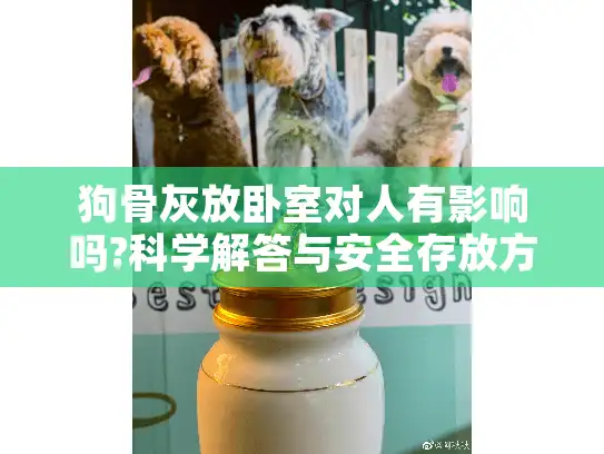 狗骨灰放卧室对人有影响吗?科学解答与安全存放方案