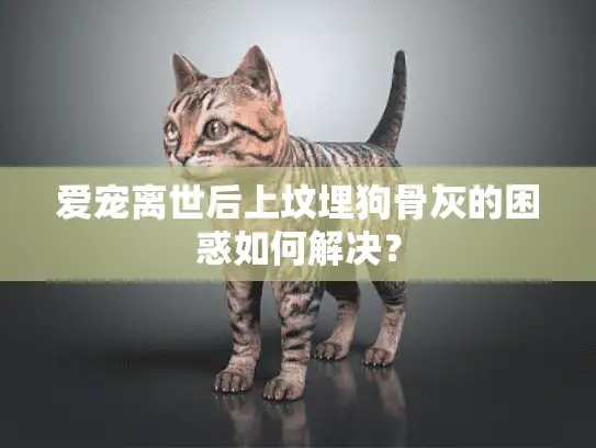 爱宠离世后上坟埋狗骨灰的困惑如何解决？