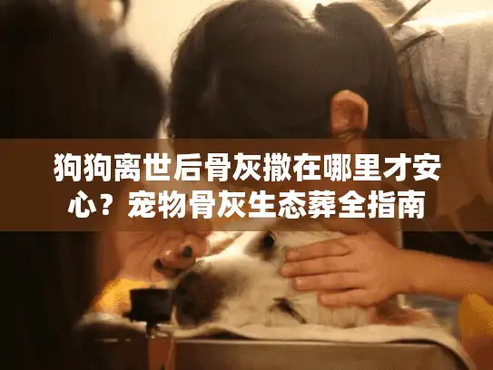 狗狗离世后骨灰撒在哪里才安心？宠物骨灰生态葬全指南