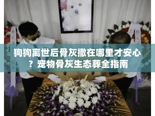 狗狗离世后骨灰撒在哪里才安心？宠物骨灰生态葬全指南