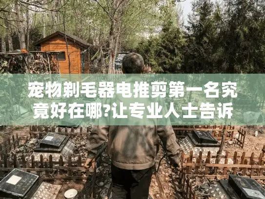 宠物剃毛器电推剪第一名究竟好在哪?让专业人士告诉你选购秘诀!