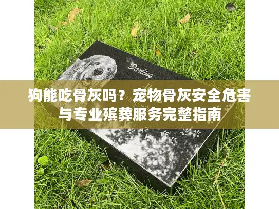 狗能吃骨灰吗？宠物骨灰安全危害与专业殡葬服务完整指南