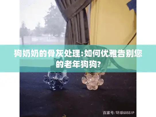 狗奶奶的骨灰处理:如何优雅告别您的老年狗狗?