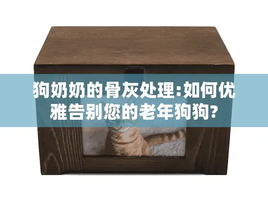 狗奶奶的骨灰处理:如何优雅告别您的老年狗狗?