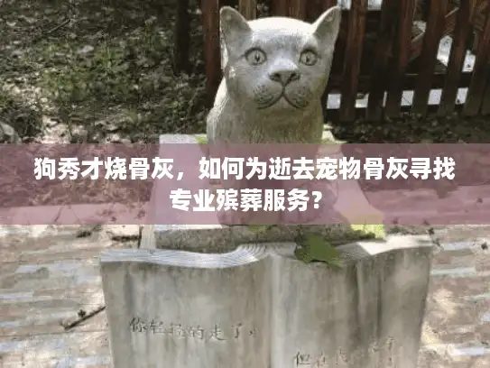 狗秀才烧骨灰，如何为逝去宠物骨灰寻找专业殡葬服务？