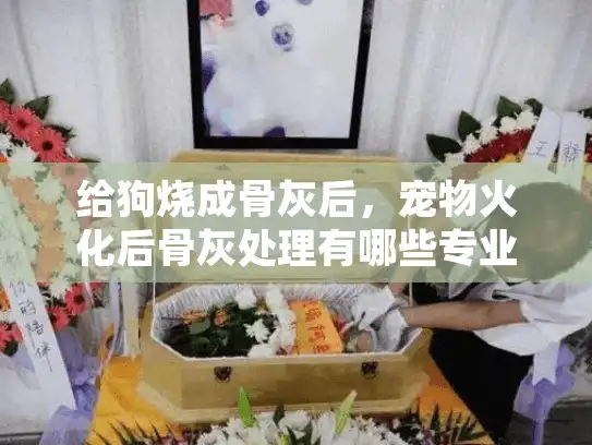 给狗烧成骨灰后，宠物火化后骨灰处理有哪些专业选择？