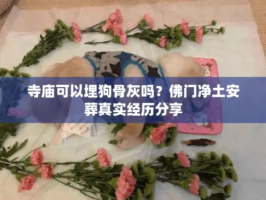 寺庙可以埋狗骨灰吗？佛门净土安葬真实经历分享