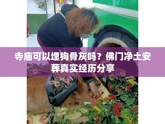 寺庙可以埋狗骨灰吗？佛门净土安葬真实经历分享