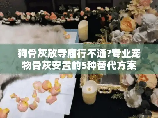 狗骨灰放寺庙行不通?专业宠物骨灰安置的5种替代方案