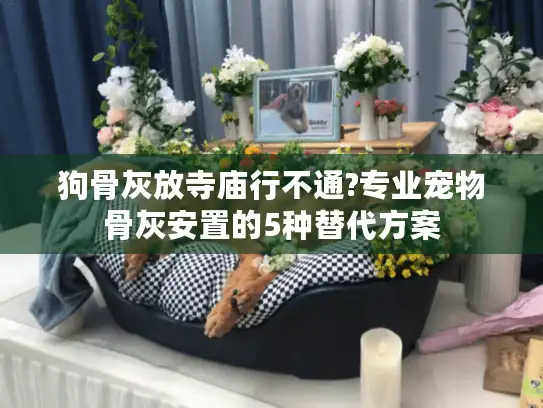 狗骨灰放寺庙行不通?专业宠物骨灰安置的5种替代方案