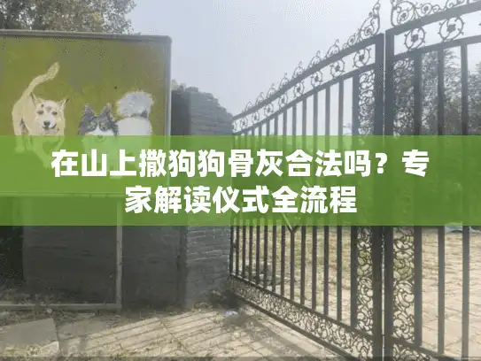 在山上撒狗狗骨灰合法吗？专家解读仪式全流程
