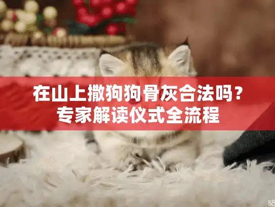 在山上撒狗狗骨灰合法吗？专家解读仪式全流程