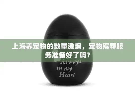 上海养宠物的数量激增，宠物殡葬服务准备好了吗？