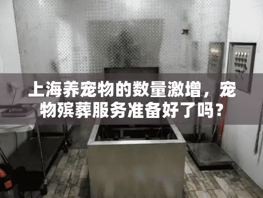 上海养宠物的数量激增，宠物殡葬服务准备好了吗？