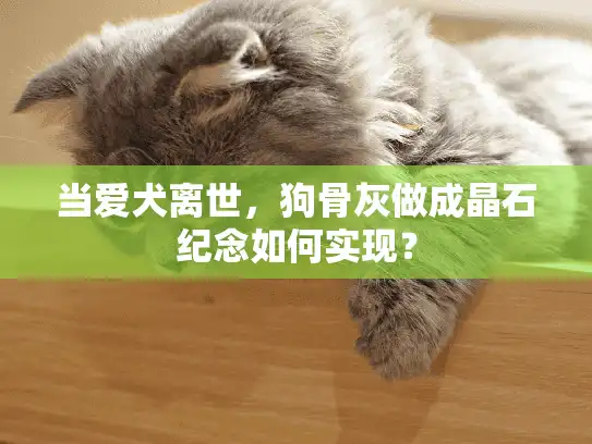 当爱犬离世，狗骨灰做成晶石纪念如何实现？