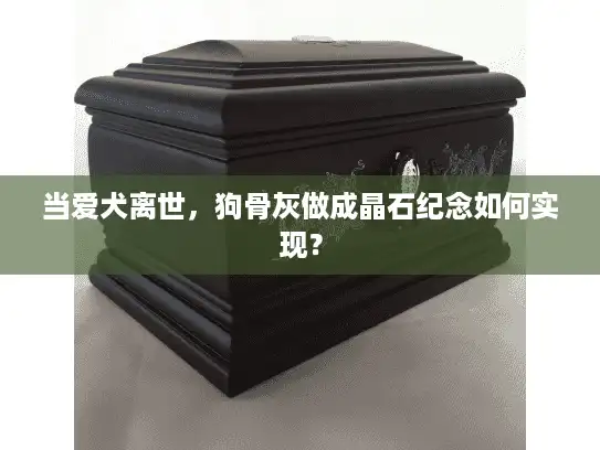 当爱犬离世，狗骨灰做成晶石纪念如何实现？