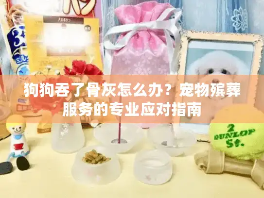 狗狗吞了骨灰怎么办？宠物殡葬服务的专业应对指南