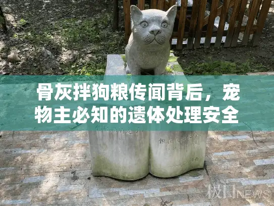 骨灰拌狗粮传闻背后，宠物主必知的遗体处理安全指南