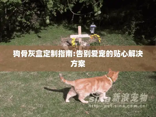 狗骨灰盒定制指南:告别爱宠的贴心解决方案