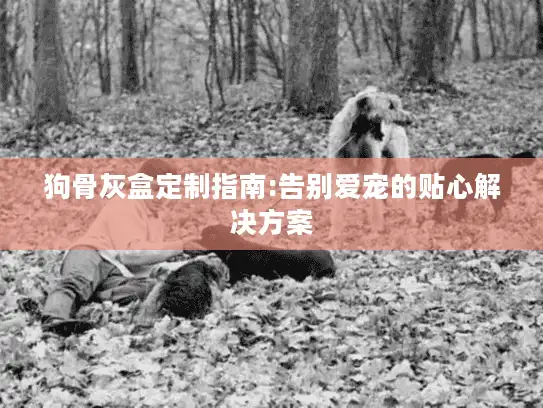 狗骨灰盒定制指南:告别爱宠的贴心解决方案
