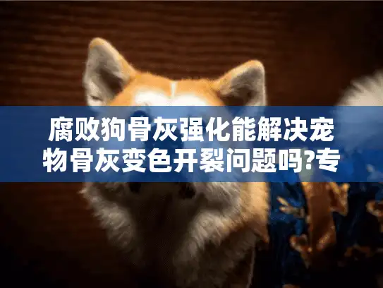 腐败狗骨灰强化能解决宠物骨灰变色开裂问题吗?专业防腐技术解析
