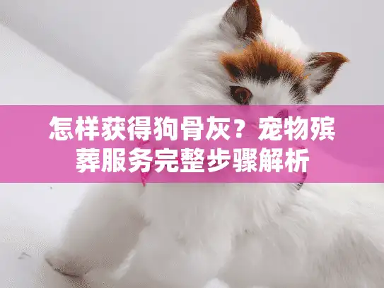 怎样获得狗骨灰？宠物殡葬服务完整步骤解析