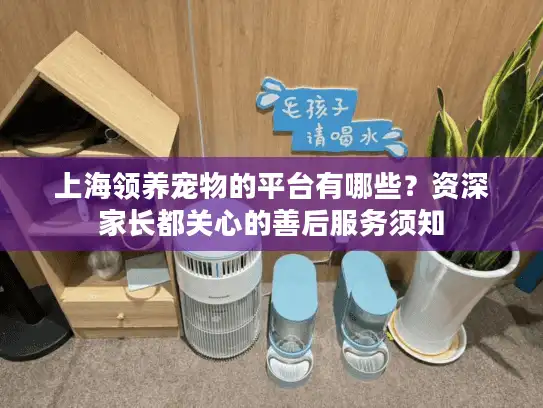 上海领养宠物的平台有哪些？资深家长都关心的善后服务须知
