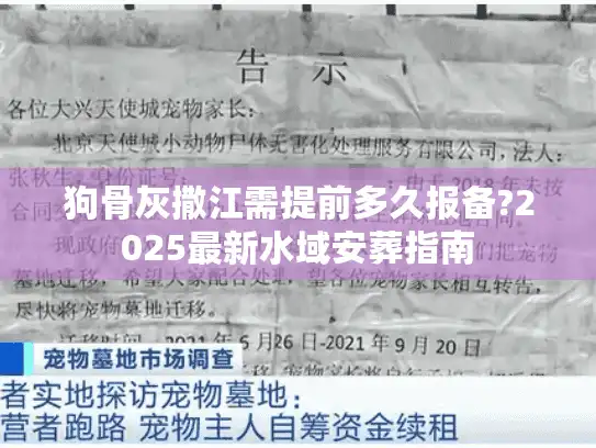 狗骨灰撒江需提前多久报备?2025最新水域安葬指南